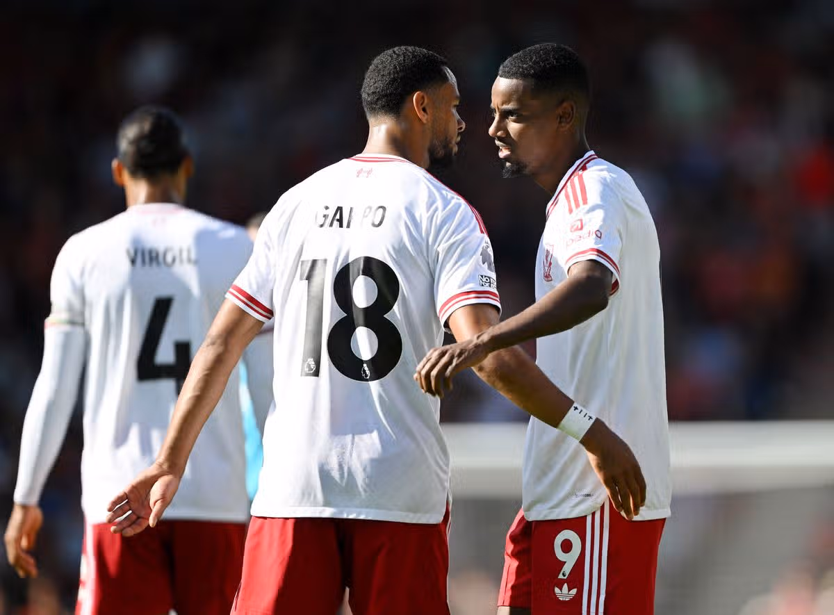 Alexander Isak and Cody Gakpo combined to score Liverpool's winner at Bournemouth