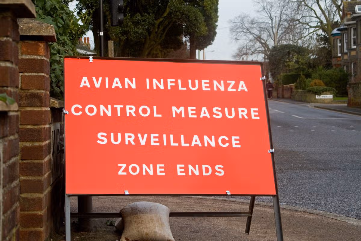 Some areas have animal control orders