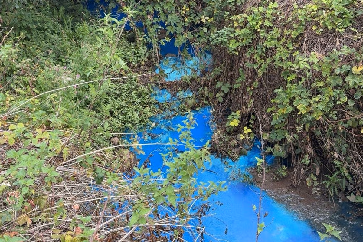 Littleham Brook in Exmouth