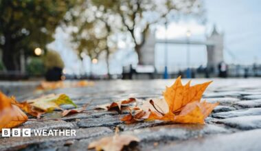 A close-up of brown autumn leaves on cobblestones with Tower Bridge blurred in the background