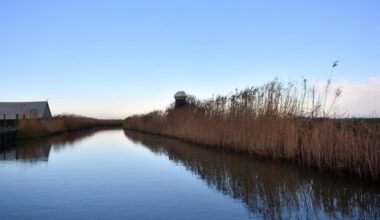 Why Martham Broad is perfect for an autumn wildlife walk