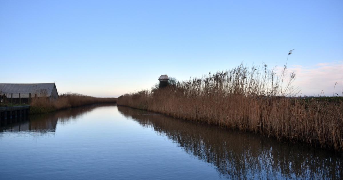 Why Martham Broad is perfect for an autumn wildlife walk