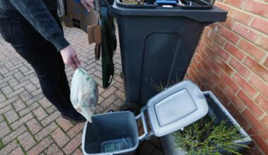 Darlington food waste bins already 'make a difference'