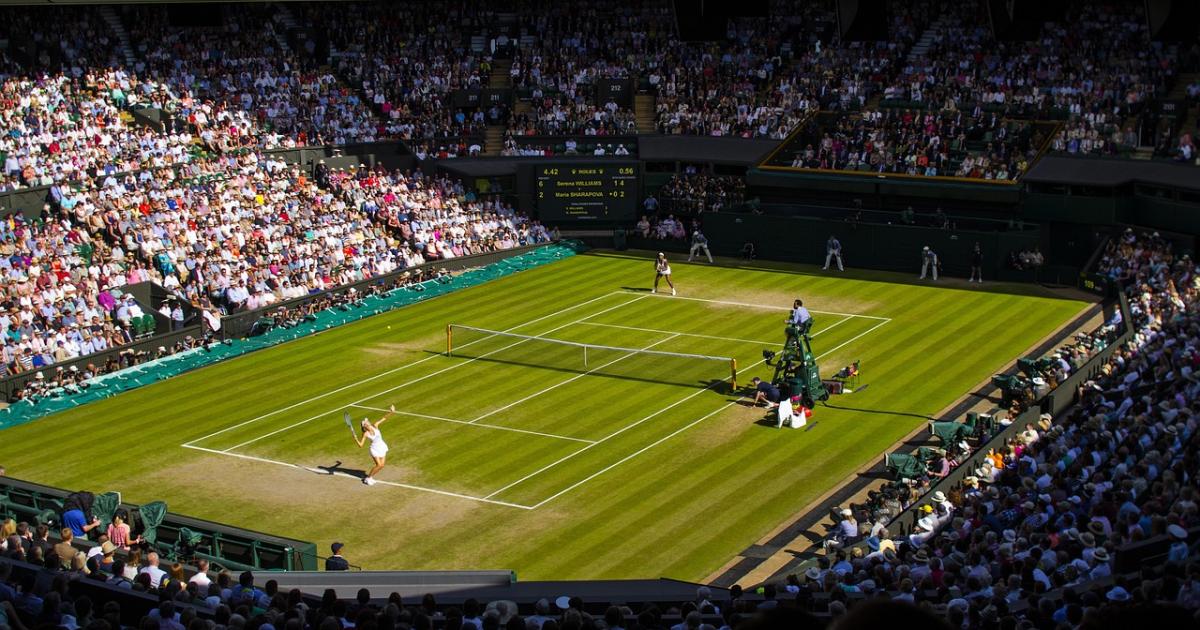 MP rubbed shoulders with Royals thanks to free Wimbledon tickets