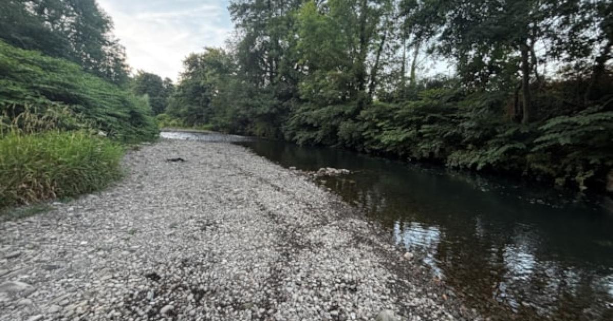 Drought remains in south-east Wales as rivers begin recovery