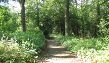 Rare wildlife discoveries recorded at Herts nature reserves
