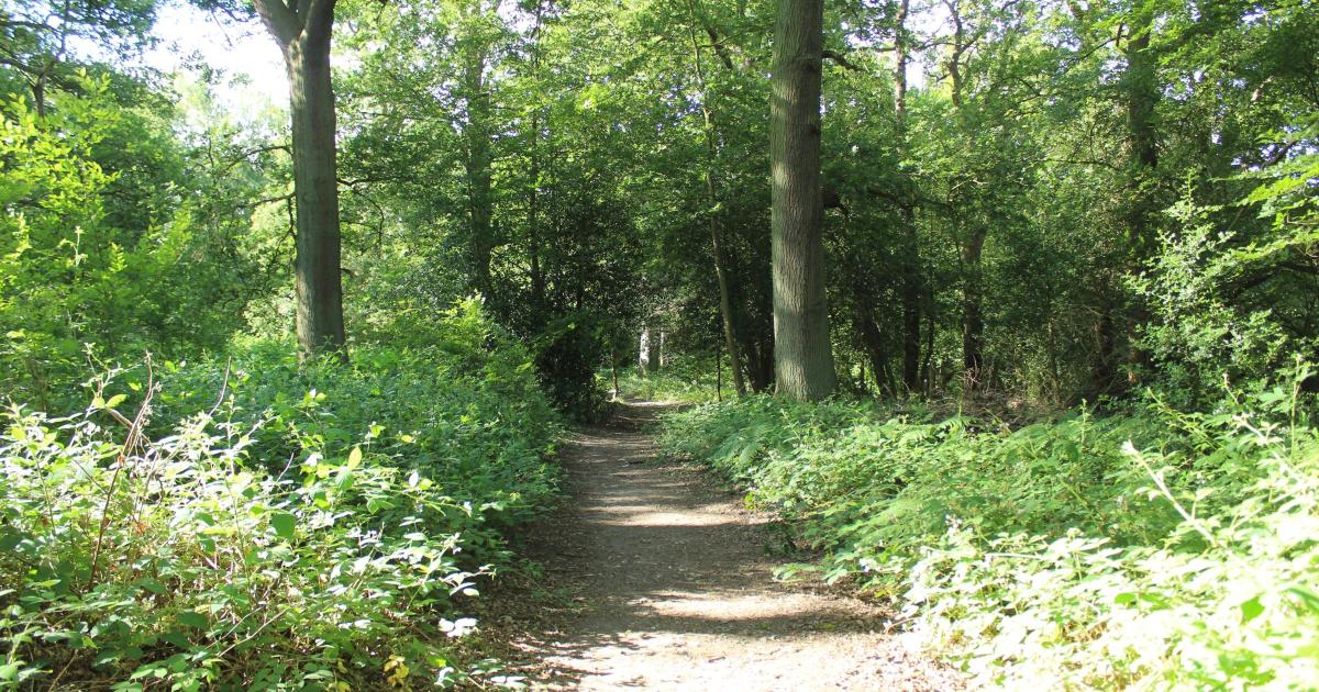 Rare wildlife discoveries recorded at Herts nature reserves