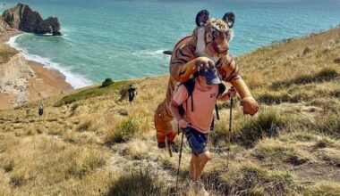 9ft tiger in Cornwall at end of 1,000-mile charity walk