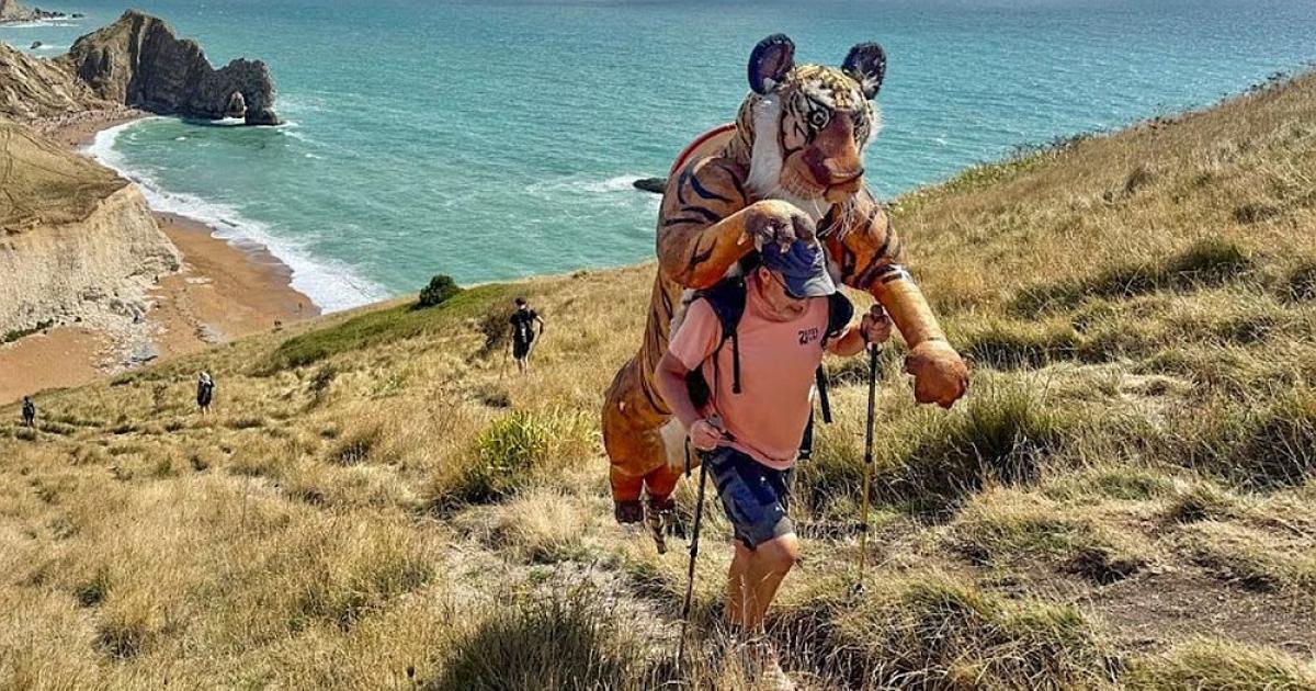 9ft tiger in Cornwall at end of 1,000-mile charity walk