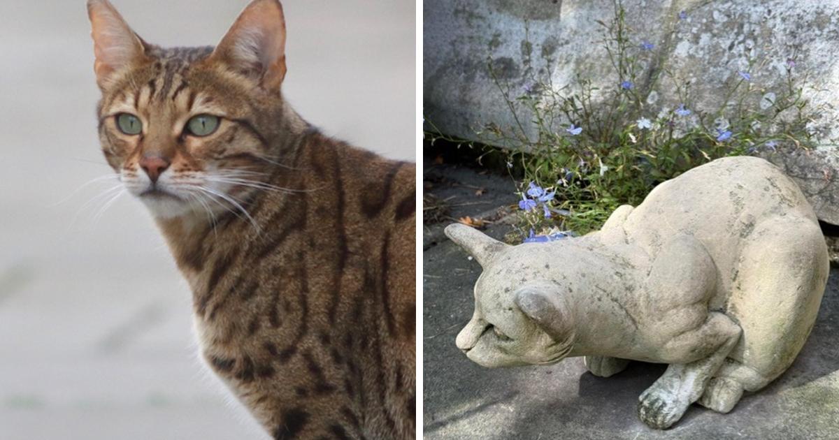 Missing York Cat Trail sculpture returns to Goodramgate home