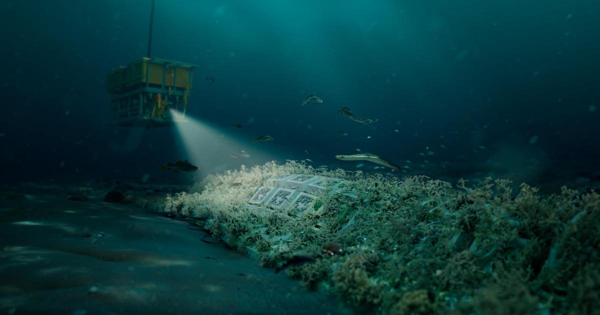 How Exo Engineering is building biodiversity into the seabed