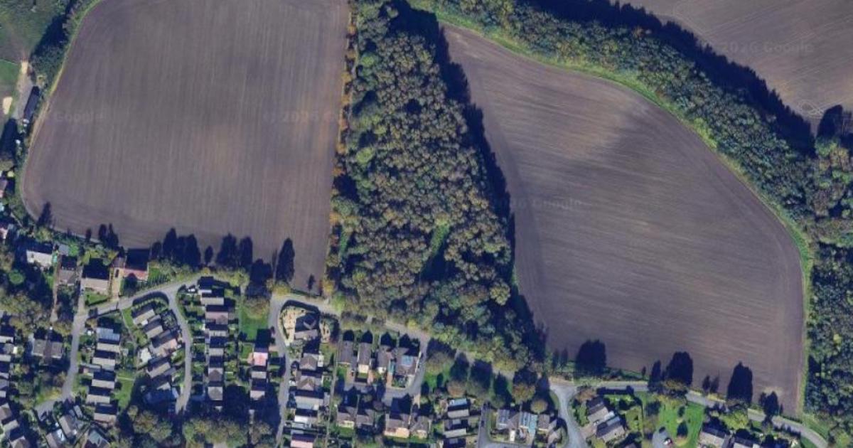Former Shincliffe colliery site could become nature reserve