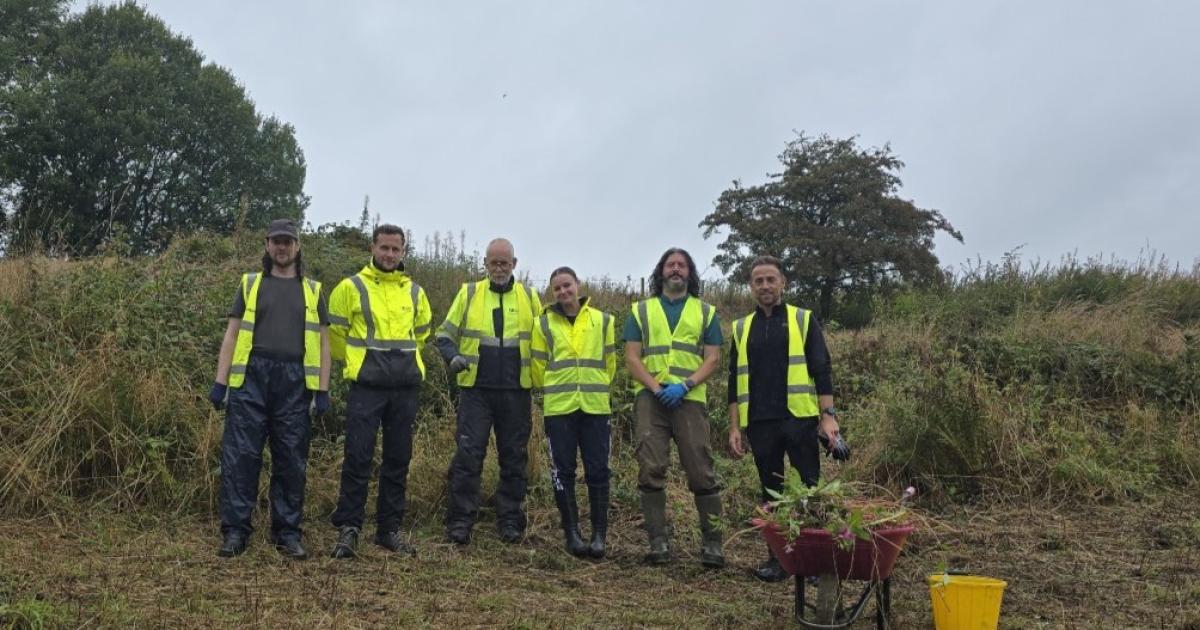Himalayan balsam cleared at Oswaldtwistle nature reserve