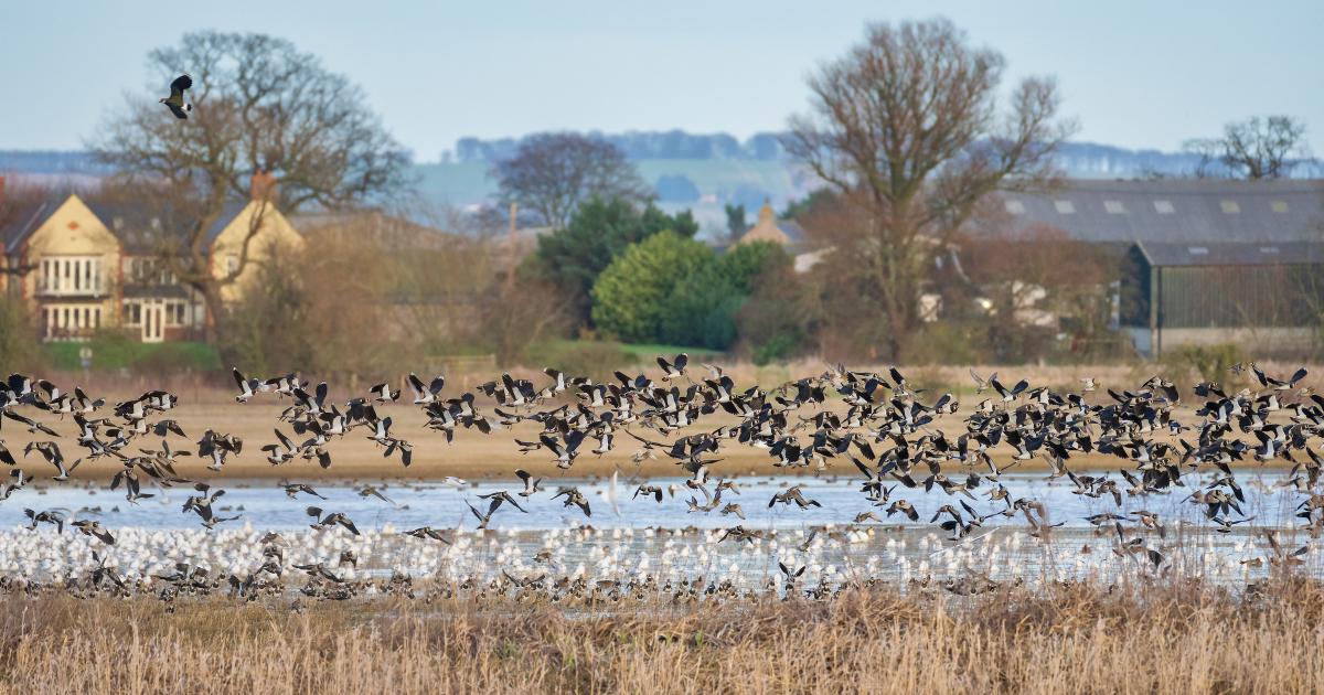 Yorkshire Wildlife Trust’s guide to autumn wildlife