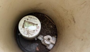 Hedgehog rescued from water meter in Great Ellingham