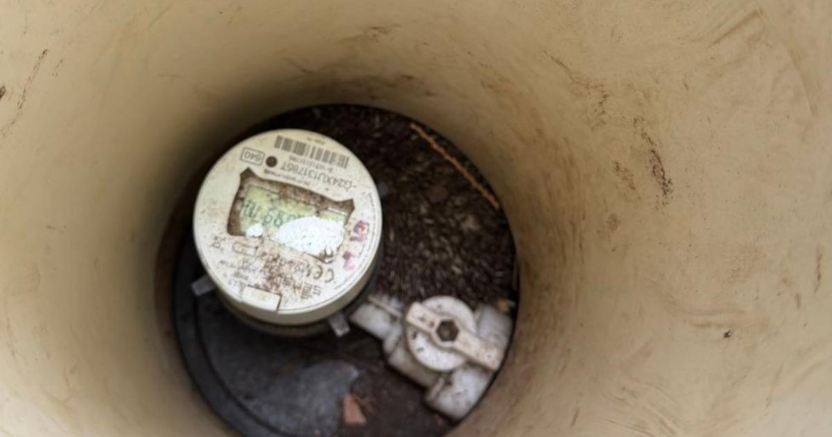 Hedgehog rescued from water meter in Great Ellingham