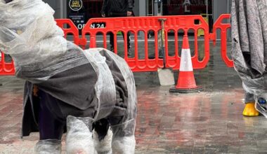 Bolton's beloved elephants are finally coming home after 11 years