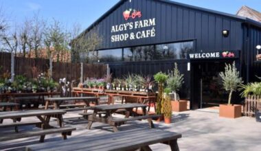 Norfolk farm shops with cafés that people travel miles for