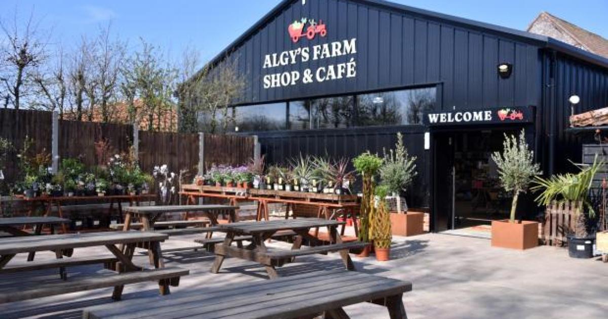 Norfolk farm shops with cafés that people travel miles for