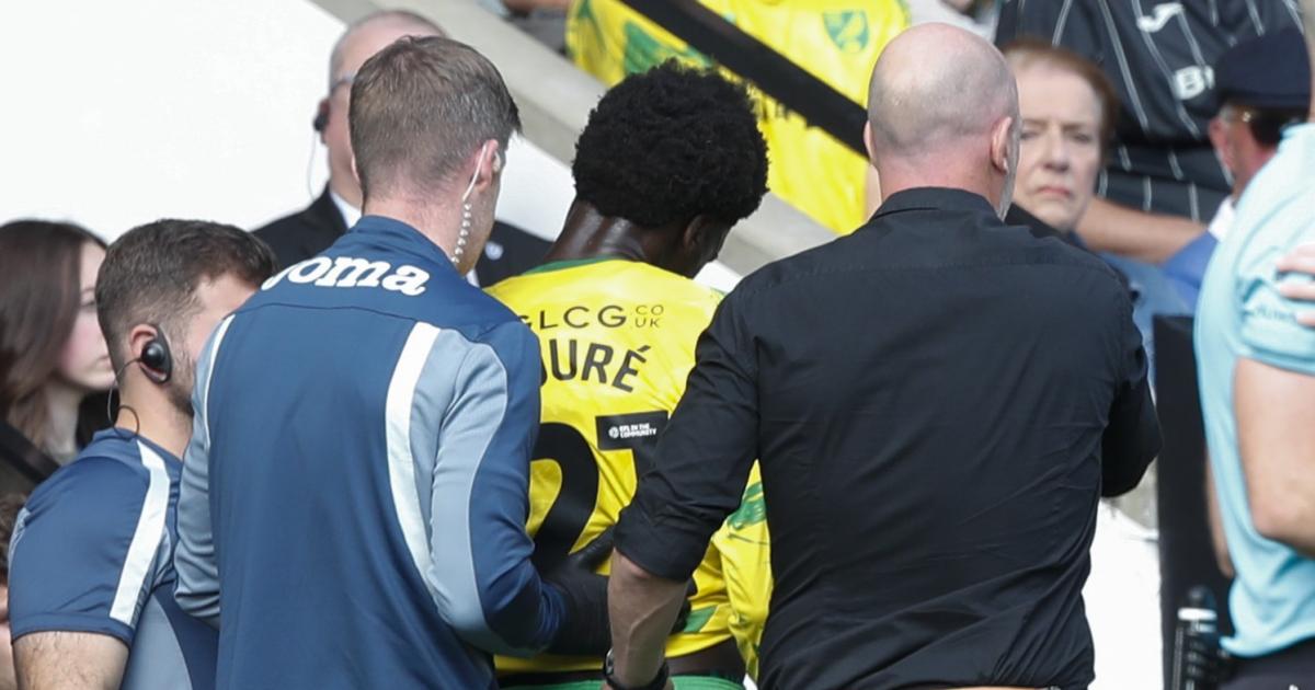 Norwich City: Clement on Toure, McLean and Chrisene injuries