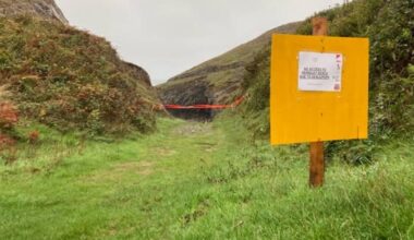 Seal pup missing from Castlemartin beach despite warnings