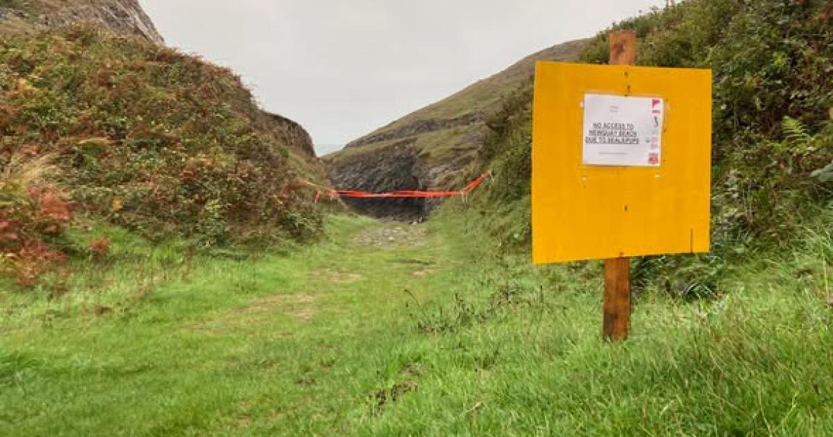 Seal pup missing from Castlemartin beach despite warnings