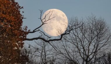 Where to see the September Corn Moon in Sussex this week