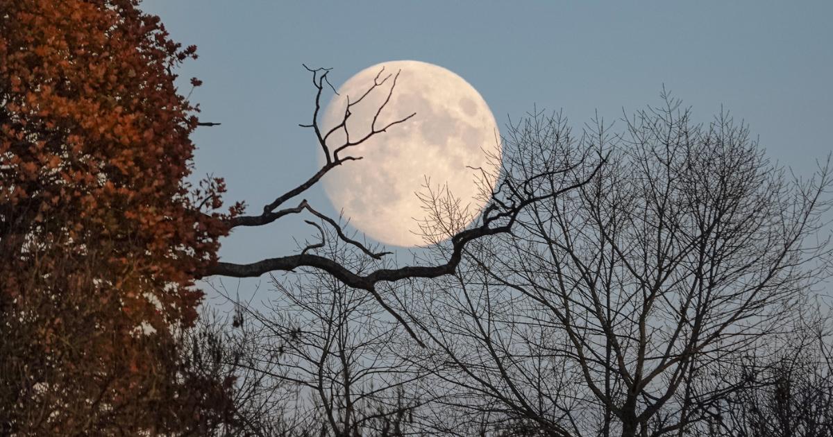 Where to see the September Corn Moon in Sussex this week