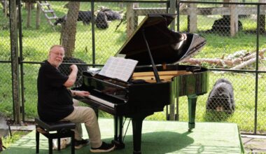 Watch Shotley rock legend Rick Wakeman's concert for bears