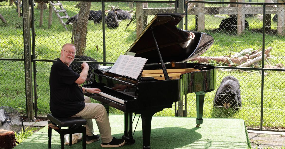 Watch Shotley rock legend Rick Wakeman's concert for bears