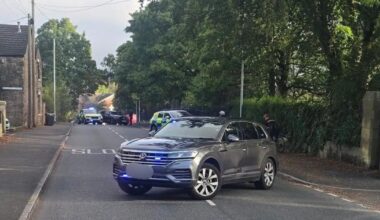 Deer dies after impaling itself on Walshaw railings