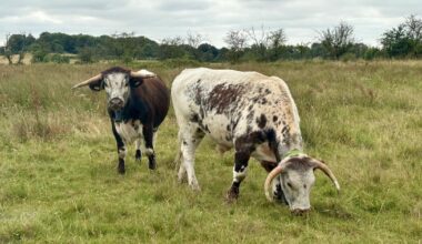 Cutacre Country Park praised for bringing nature closer to people