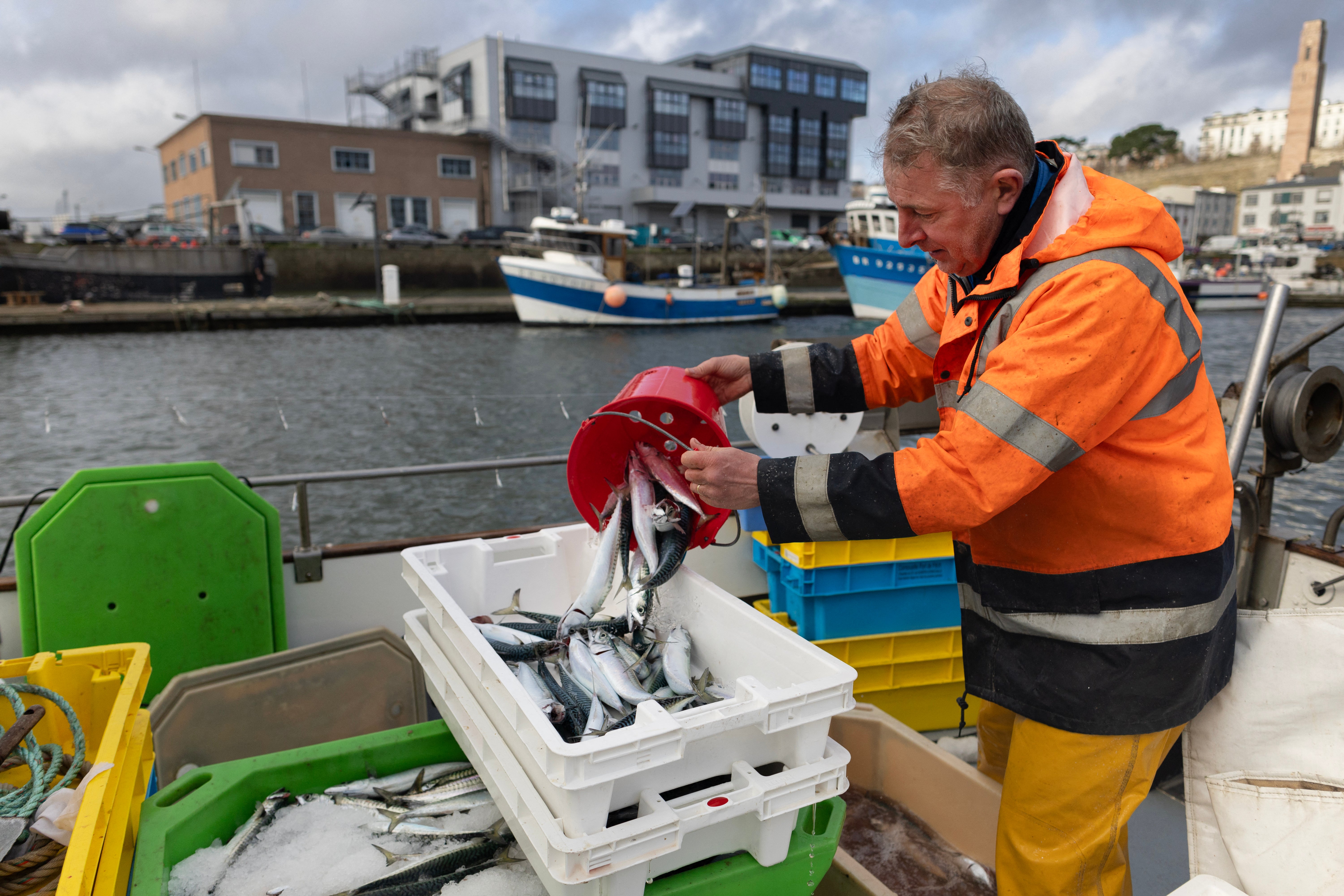 Fleeing climate warming, the Atlantic mackerel has migrated north, only to find itself trapped by overfishing against a backdrop of geopolitical disputes