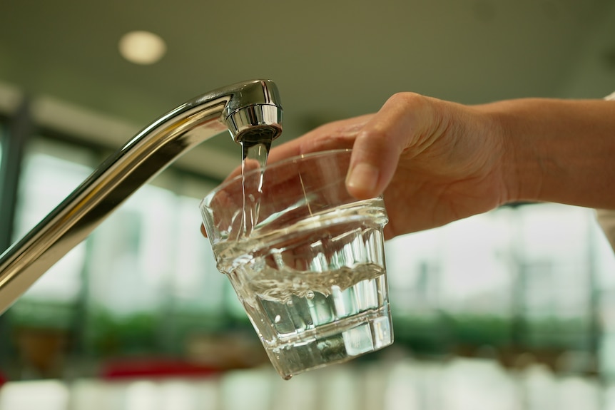 A person filling a glass with water from a tap