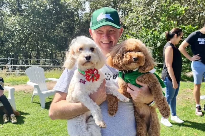 Albanese, wearing a Rabbitohs cap, holds two small dogs in his arms while standing in a park.