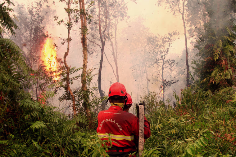Indonesian firefighters battle wildfires in South Sumatra