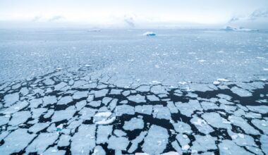 ‘Concerning’ low sea ice persists as Antarctic hits third-lowest winter peak