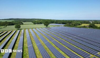 A stock image of a solar farm, with solar panels lined up on a grassy field.
