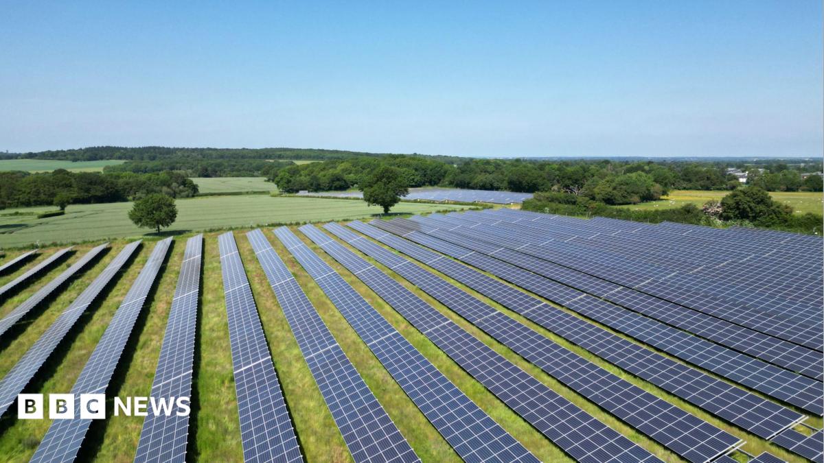 A stock image of a solar farm, with solar panels lined up on a grassy field.