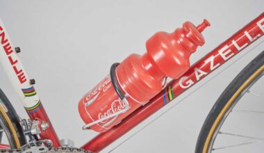 Theunisse Gazelle