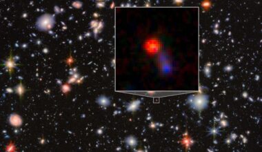 A scientist looked at 'little red dots' in the early Universe and found a black hole that shouldn't exist