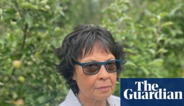 ‘We need a touch of humanity’: Swedish opposition pledges to help Britons facing deportation | Sweden