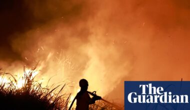 ‘Jaw-dropping’ El Niño bursts through temperature record months before peak | El Niño southern oscillation