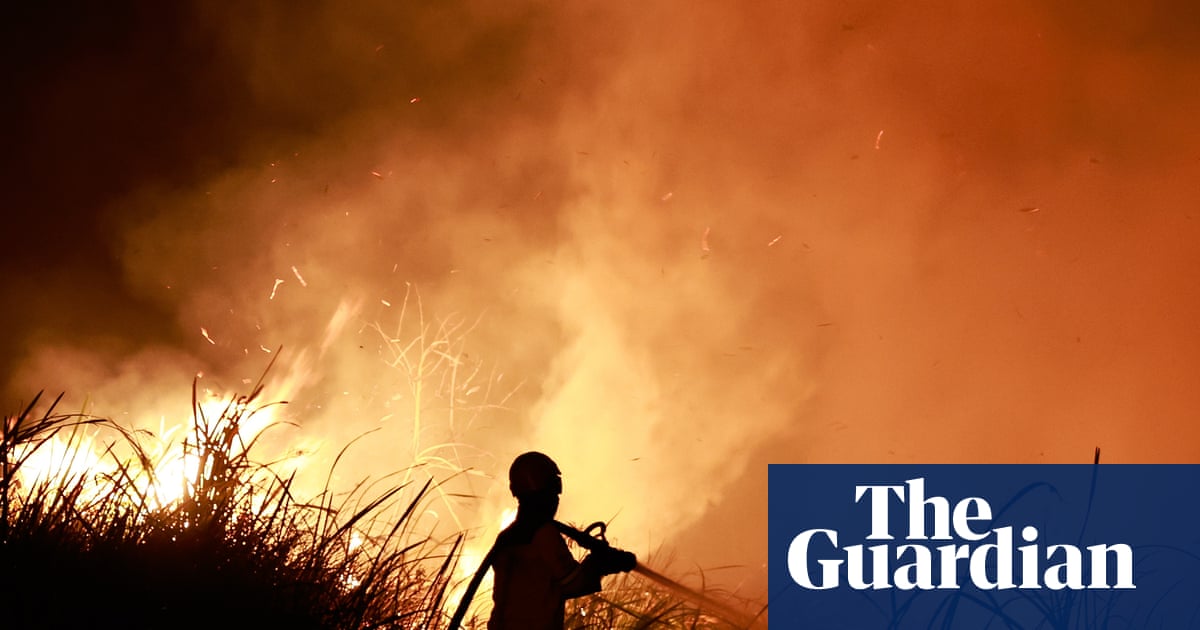 ‘Jaw-dropping’ El Niño bursts through temperature record months before peak | El Niño southern oscillation