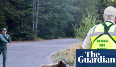 Grizzly reality: US states grapple with uptick in encounters between bears and humans | US news