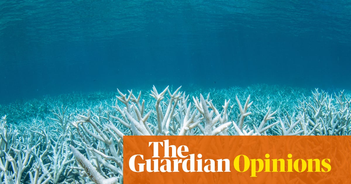 Australia and Canada can learn from each other on climate if we separate action from declaration | Rosa Galvez
