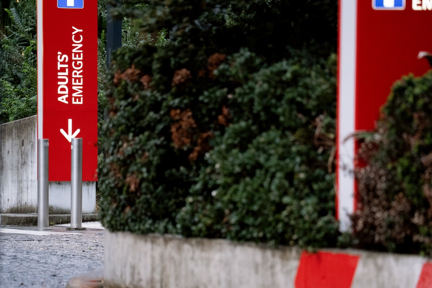 A red sign by a road with an arrow pointing down saying 'Adults' Emergency'.