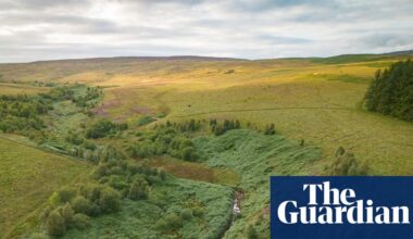 ‘Britain’s Yellowstone’: restoration project aims to take the greed out of land acquisition | Rewilding