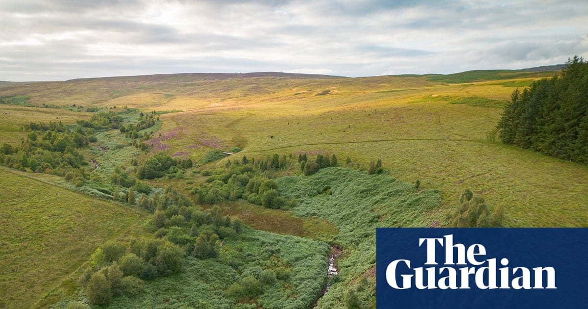 ‘Britain’s Yellowstone’: restoration project aims to take the greed out of land acquisition | Rewilding