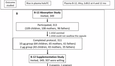 Vitamin B12 absorption and factors associated with the response to long-term oral B12 supplementation: a secondary analysis of data from a B12-deficient Indian rural community